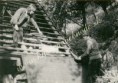 /album/fotogaleria-historicka-fotogaleria/a02-jpg1/