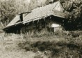 /album/fotky-strednej-casti-osady-kysuca-rok-20001/a1098346-544359635613942-1097571179-n-jpg1/
