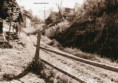 /album/fotky-strednej-casti-osady-kysuca-rok-20001/a1146611-544359308947308-291953544-n-jpg1/