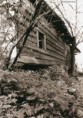 /album/fotky-strednej-casti-osady-kysuca-rok-20001/a1146739-544359748947264-353245393-n-jpg1/